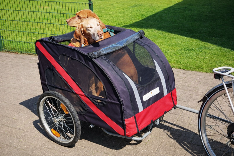 Fietskar voor honden kopen