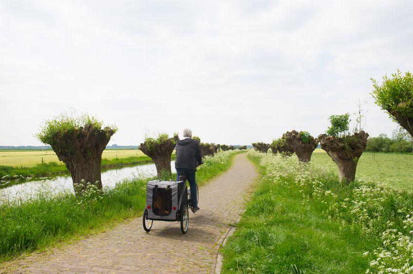 Fietskar Winkel