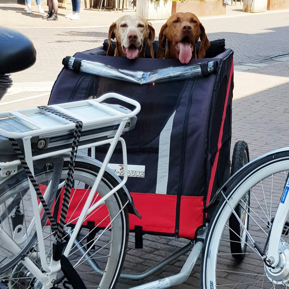 progressief Verdikken blozen Hondenfietskar Doggy Deluxe | Fietskar Winkel