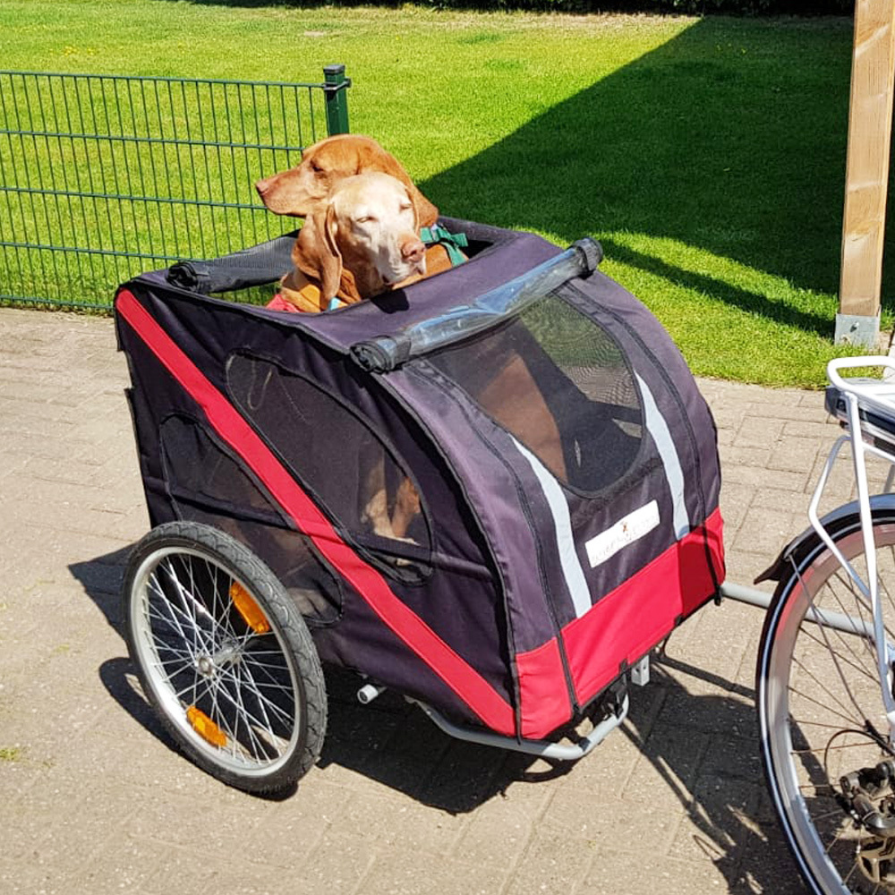 progressief Verdikken blozen Hondenfietskar Doggy Deluxe | Fietskar Winkel