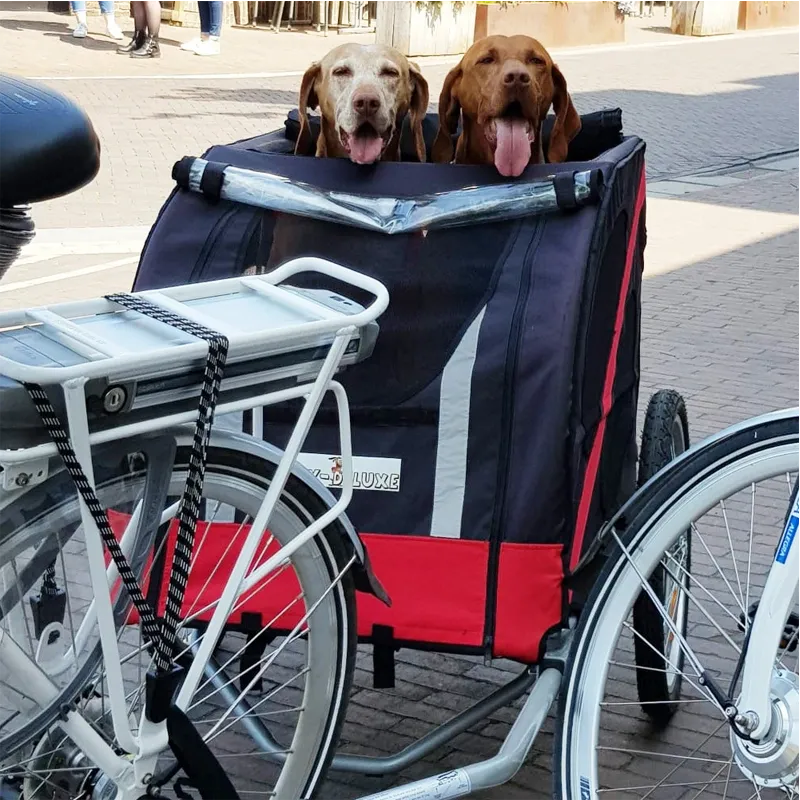 2_grote_honden_in_fietskar.webp